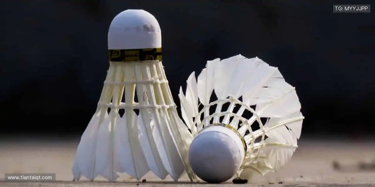 🎾 运动装备,品质之选!从赛场到生活,陪伴你的每一步👟